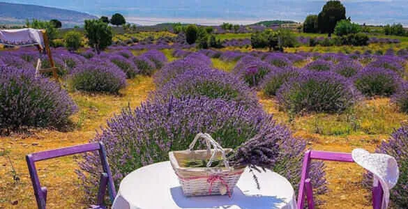 Türkiye’nin Köyleri: Kuyucak