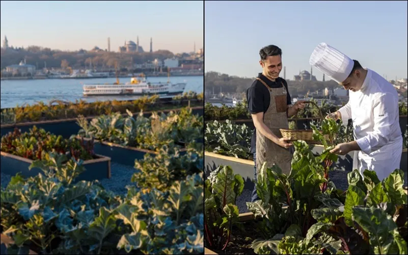 The Peninsula Istanbul’un Terasında Sıra Dışı Bahçe