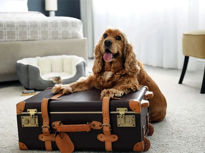 Turizm Sektöründe “Pati” Etkisi