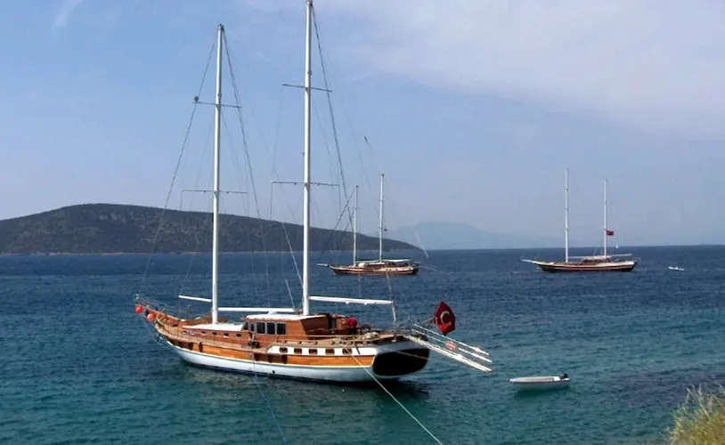 Salamander Voyages İflasını Açıkladı